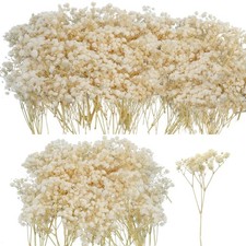 50Pcs Mini Dried Baby's Breath Flowers, 6'' Natural Ivory White Flowers for R...