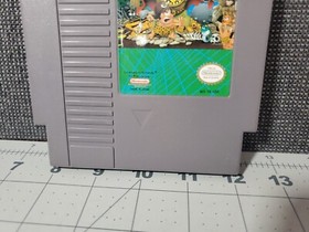 Hudson&rsquo;s Adventure Island (NES Nintendo, 1985) - Working