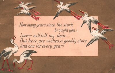 Vintage Postcard 1910's Storks Notes How Many Years Since The Stork Brought You