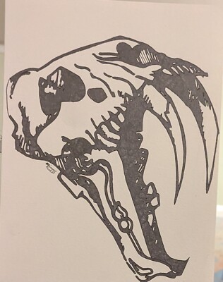 saber tooth tiger skull hand drawn by #PicassoFunc23