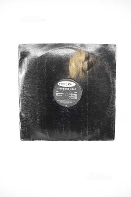 Vinyl 33 Umdrehungen Fishbone Beat