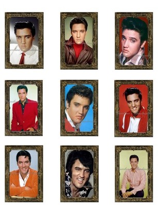 Elvis Color Portraits MULTI-SIZE SET Cotton Fabric Quilt Blocks