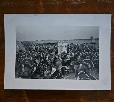 Vtg Black and White Photo Women Turkey Flock Farm Ranch Field