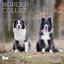 Border Collie Wall Calendar 2026 | Dog Calendar | 12" X 24" Open | Giftable | T