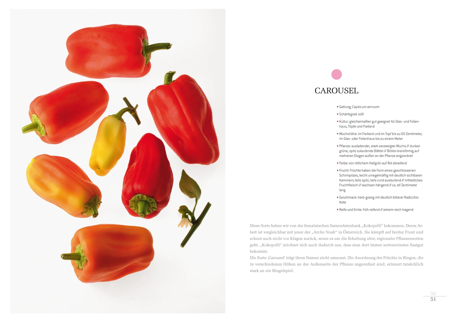 Thumbnail - Atlas Der Erlesenen Chilis Und Paprika Erich Stekovics (u. A.) Buch