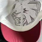 Picture 11 of 23
