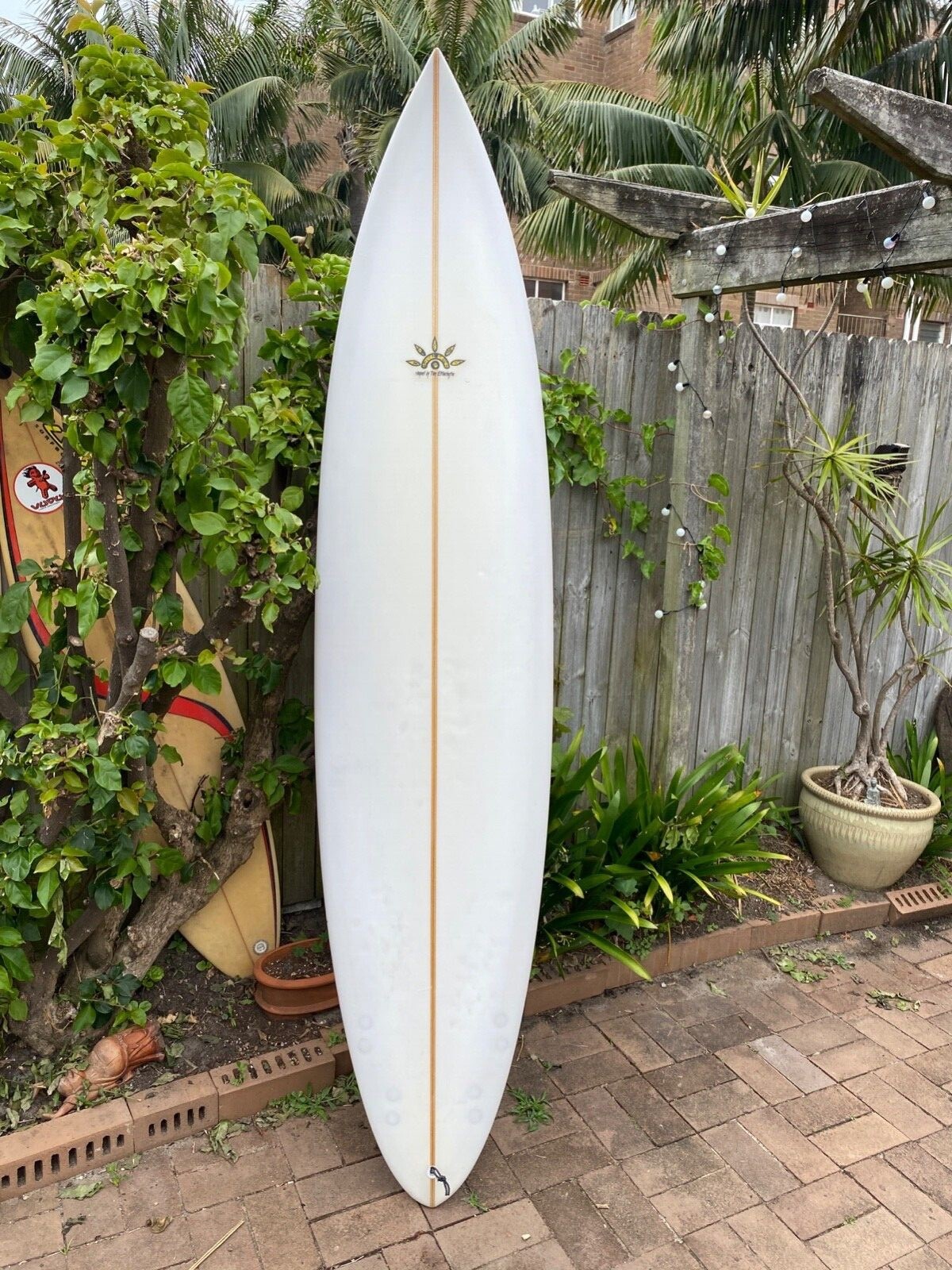 surfboard eBay