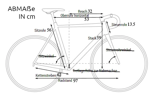 Rennrad Pinarello Veneto campagnolo rahmenframe chrom stahl rahmenhöhen 56 - Bild 3 von 4