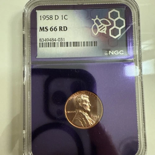 1958 D Wheat Penny 1C - PCGS MS 66 RD TraderBea Edition Purple Core Rare Red