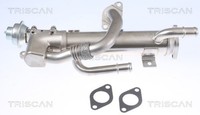KüHler AbgasrüCkfüHrung Triscan 8813 29333 FüR Audi A4 B7 8EC Avant 8ED A6 C6
