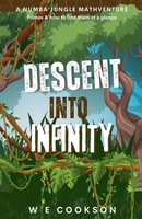 Descent Into Infinity W E Cookson Taschenbuch Englisch 2024 W E Cookson