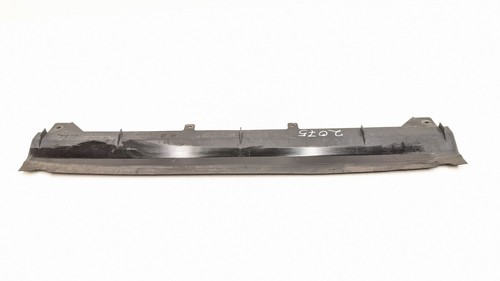 Radiator trim