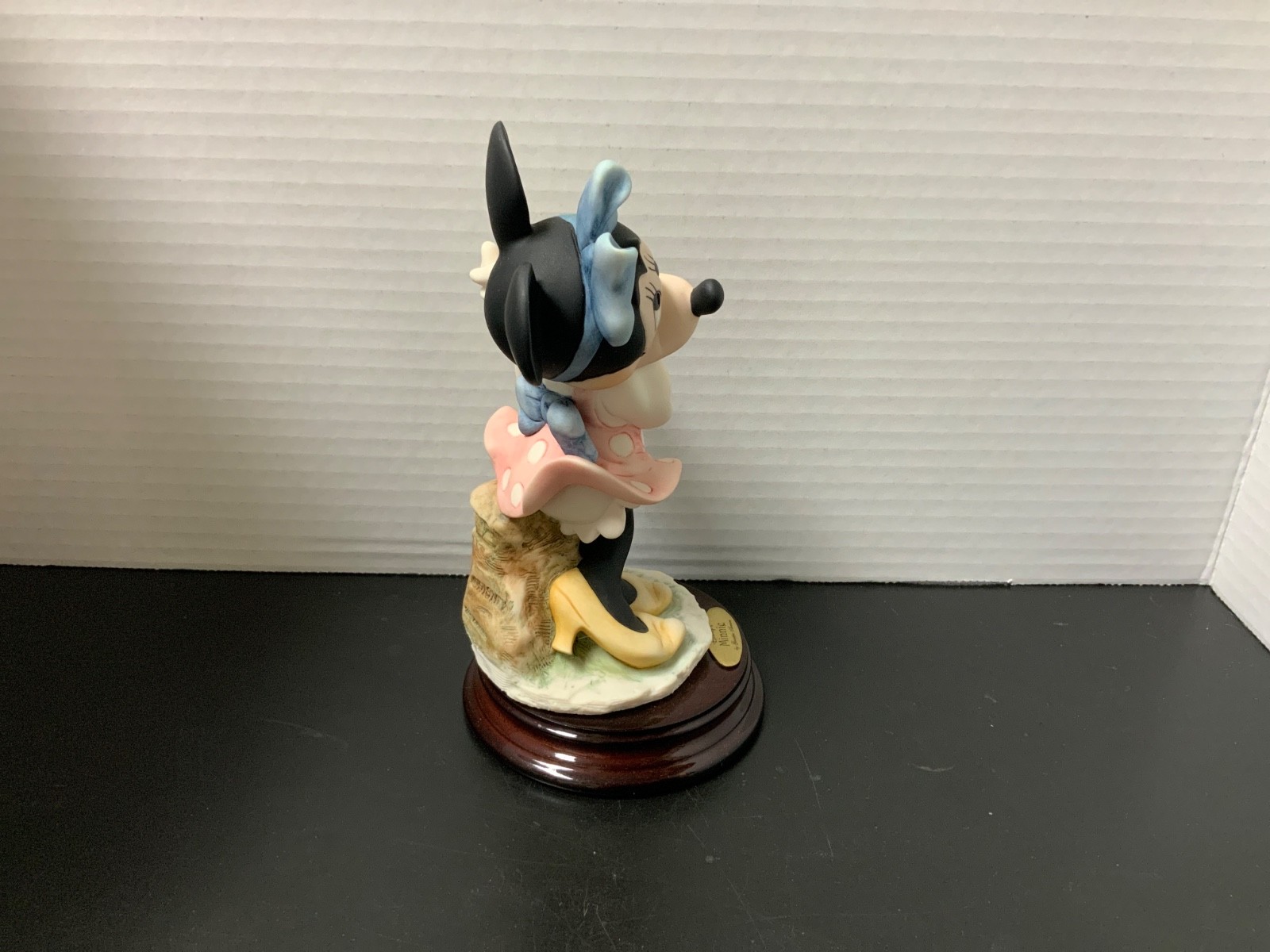 Picture 4 of 11