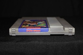 Legendary Wings & Little Nemo The Dream Master Lot NES Nintendo Authentic Tested