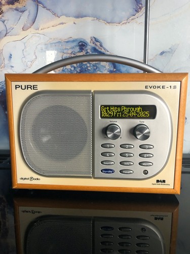 Pure Evoke 1S DAB Radio