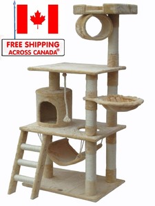 scratching post canada