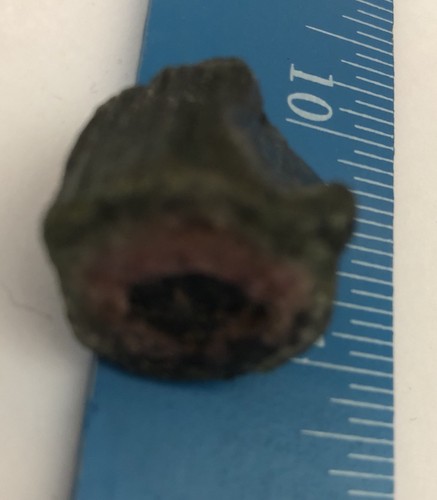 HERMOSO CRISTAL DE TURMALINA VERDE Y ROSA 15,1 gramos #201 - Imagen 9 de 9
