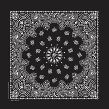 Carolina Creative Bandanna (Black) Paisley Print 22" x 22" Hav-A-Hank