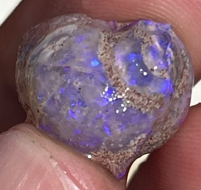 Opal Snail Shell Fossil Coober Pedy Australian Opals Fossils Crystal Rare Purple