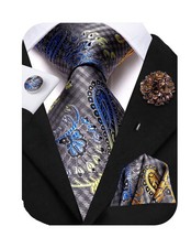 Blue Grey Ties for Men Silk Paisley Men's Ties and Flower Lapel Pin Set Pocke...