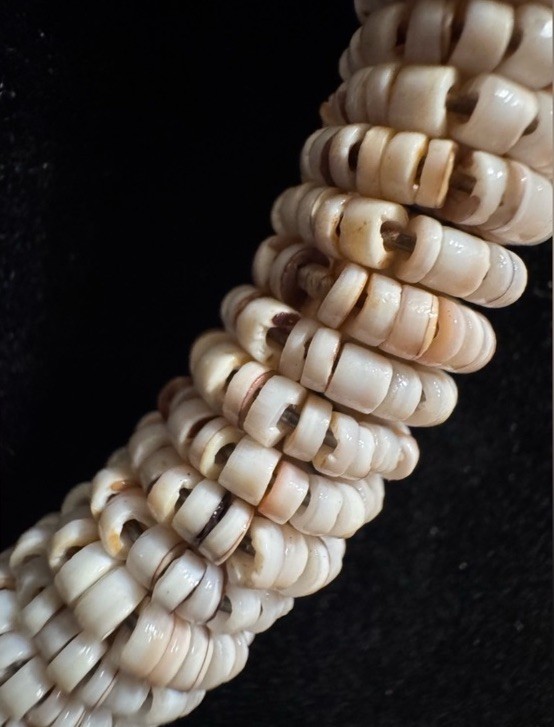 Statement Puka Shell Chunky Necklace - image 6