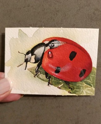 ACEO Original Ladybird Watercolors Painting Bugs ATC Miniature Insect Art-OOAK