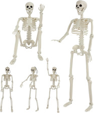 Halloween Skeleton Decorations, 36 Inch Life Size Fully Posed Skeletons, 16 Inch