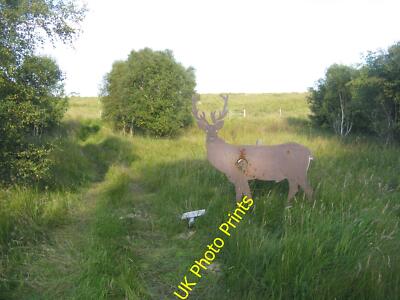 Foto 6x4 Zielscheibe in der Shinness Lodge Achnairn damit man die c2015 treffen kann