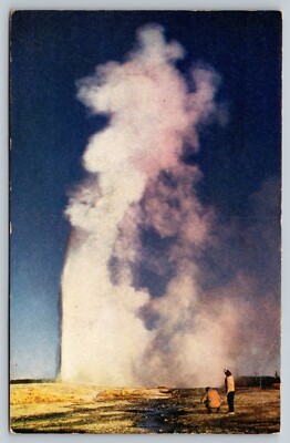 Old Faithful Geyser Yellowstone National Park Wyoming WY Postcard