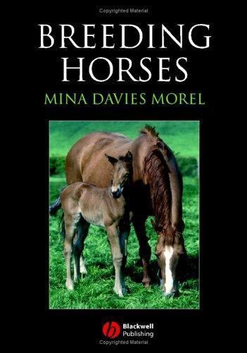 Breeding Horses by Mina Davies-Morel (2005, Trade Paperback)
