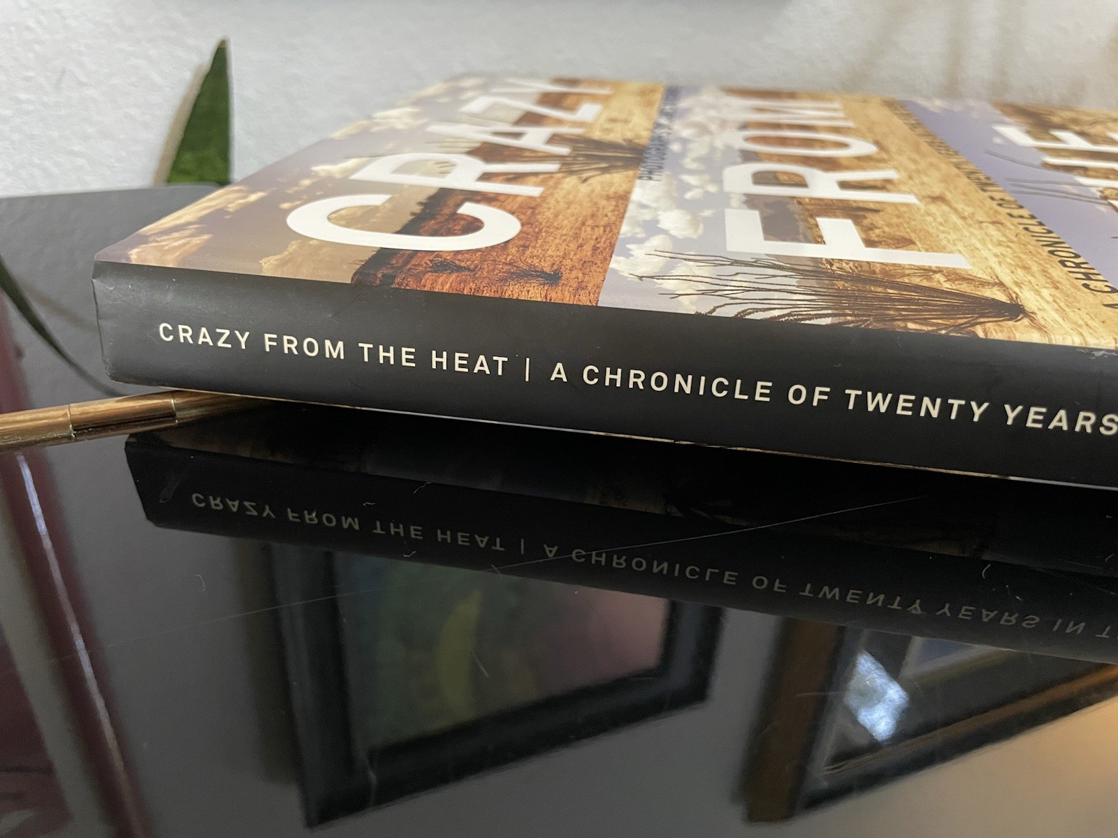 Crazy From the Heat James H. Evans SIGNED INSCRIBED w/ DOODLE 2011 FIRST ED HCDJ