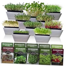 Microgreen Seeds Variety Pack Heirloom Types for Indoor Sprouting 10