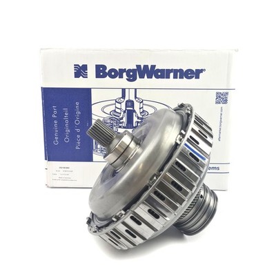 BorgWarner 202155 Clutch Kit for S-Tronic Transmission DL501 VW Audi Porsche