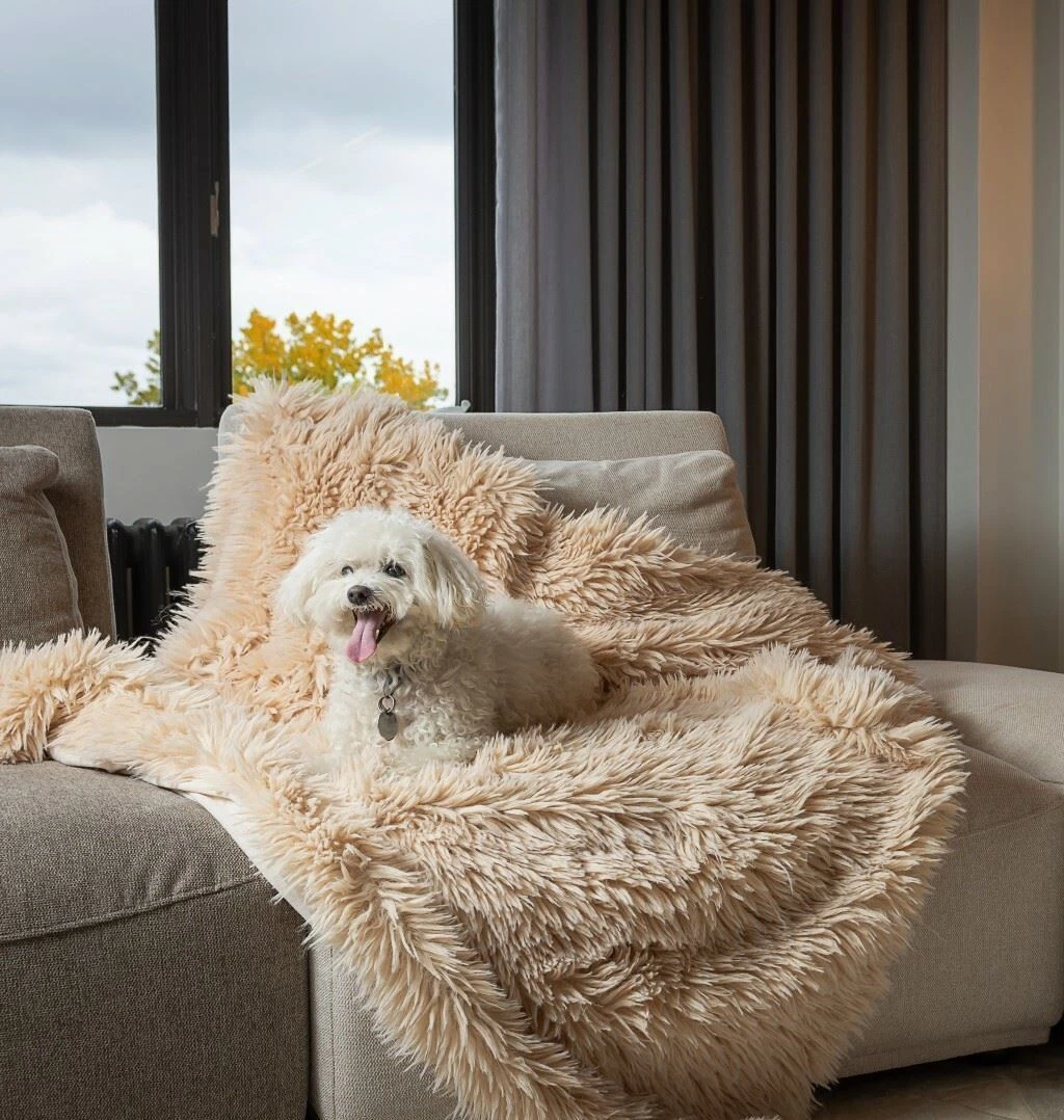 Fake wool online blanket