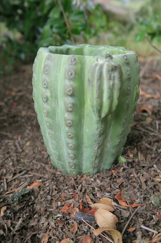 CACTUS PHOENIX POT PLANT PLANTER SUCCULENTS GARDEN PLANT FEATURE SET OF 2 - Picture 4 of 6