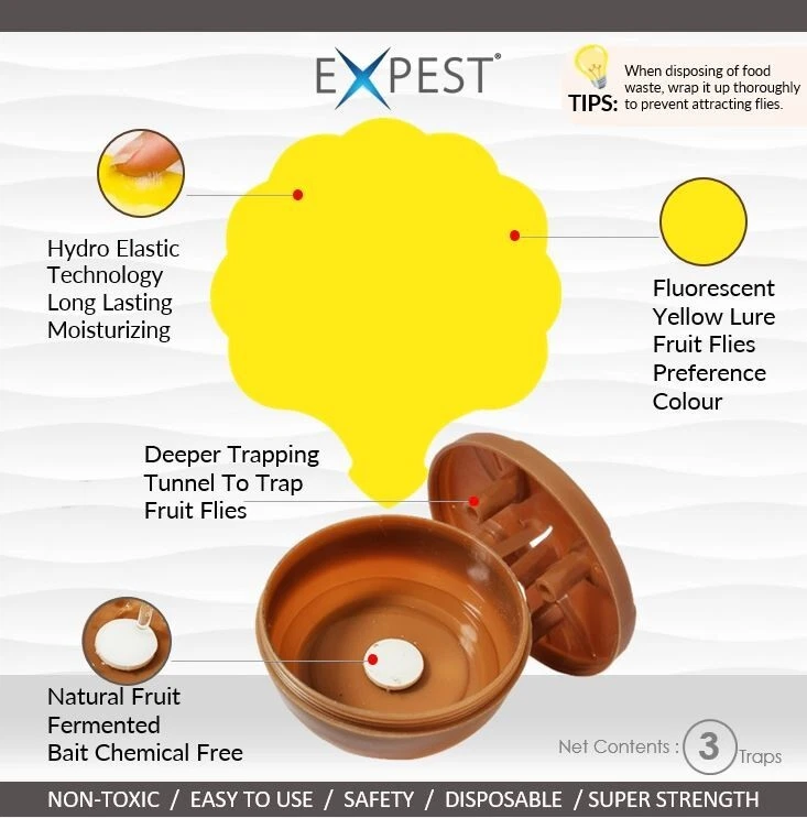 Fruit Fly Trap - [No more small flies]  : One set plus One refill pack - Image 2 of 4