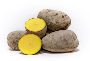 20 KG PATATE ROSSE DI AVEZZANO ( FUCINO ) PATATE FRITTE ...