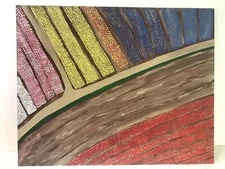 Tulip Fields Wall Art 16x20" USA Outsider Art Stippling Flowers Farm Landscape