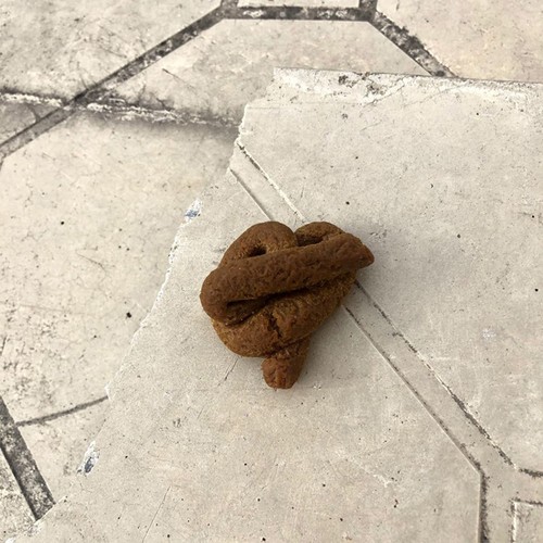 10PCS Fake Poop Gag Joke Prank Crap Dog Poo Realistic Gift Funny Party Toy Trick - Picture 4 of 12
