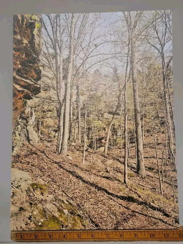 Canvas Wall Art GOG SHAWNEE NATIONAL FOREST for Home Decor HILLS ROCKS Illinois  - Image 2 of 2