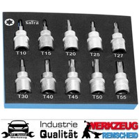 "10-Tlg Torx T-Profil Stecknuss 3/8\" Set T10 - T55 SteckschlüSsel Torx Nuss Kurz"
