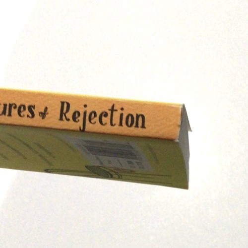 The Discreet Pleasures Of Rejection by Martin Page 2010 Paperback - Picture 3 of 7