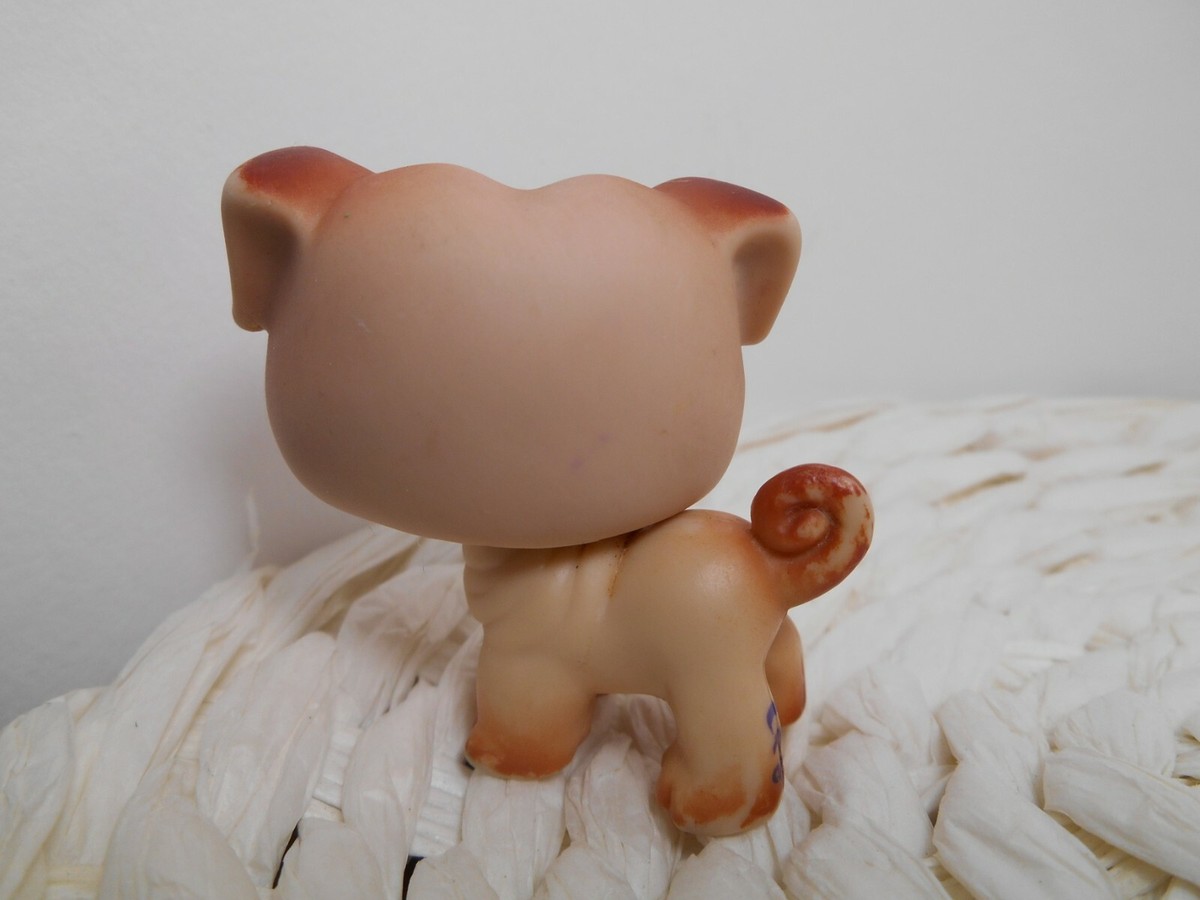 LPS Littlest Petshop Pet Shop Chien Chat Européen Dogue Colley Cat - Foto 9