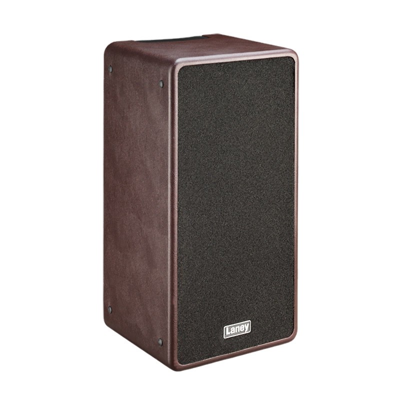 Laney A-DUO Acoustic Instrument Combo Amp (NEW)