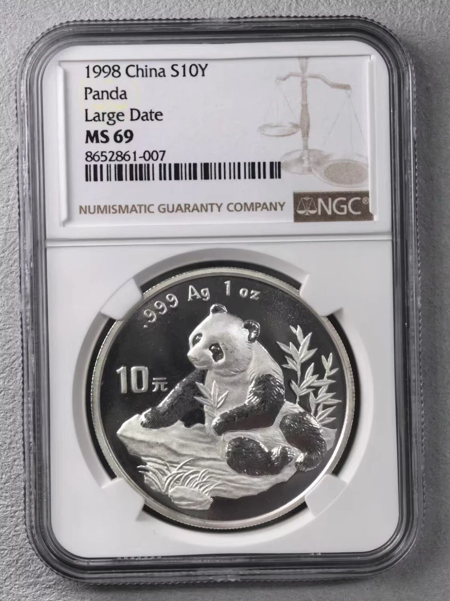1998 Silver Panda for sale | eBay