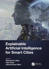 Computational Intelligence Techniques For Smart Cities