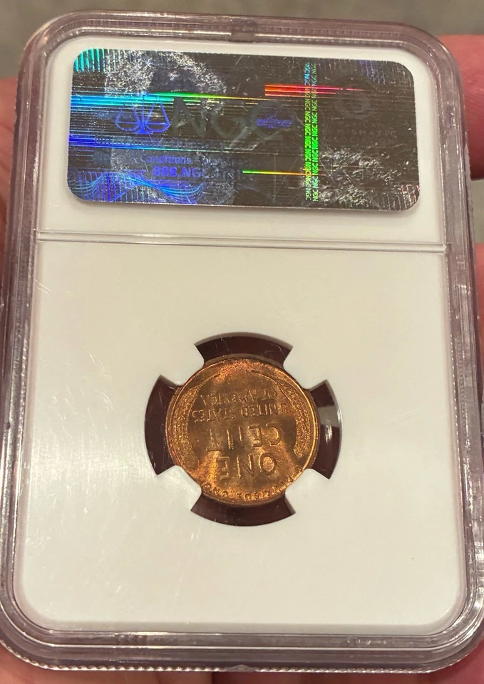 1909 VDB Lincoln Cent NGC MS 65 RD Vermelho 1º Ano Lincoln Penny Gem Estado Perfeito - Imagem 2 de 4