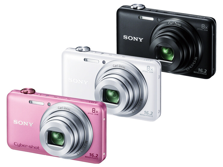 Sony Cyber Shot DSC-WX60 16.2MP 8x Compact Digital Camera - 90