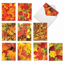 10 Assorted All Occasion Blank Note Cards with Envelopes - LEAF A MESSAGE M2009
