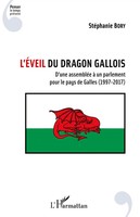 L'éVeil Du Dragon Gallois StéPhanie Bory Taschenbuch Penser le temps présent